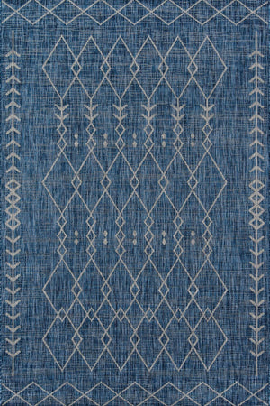Blue Rug Collection
