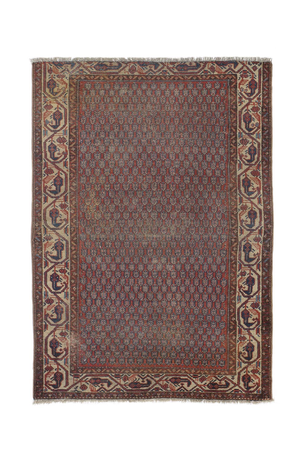 Persian Malayer 4'-9" X 5'-11"